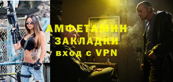стаф Гатчина