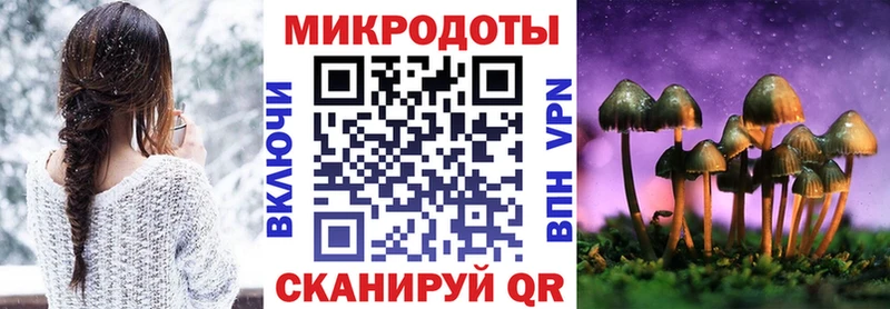 mega рабочий сайт Лахденпохья Псилоцибиновые грибы Psilocybine cubensis